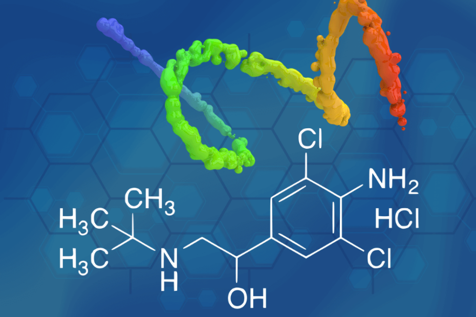 Clenbuterol is a β-adrenergic agonist