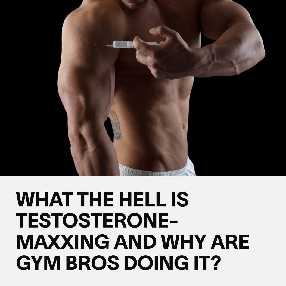 why gym bros are obsessed with testosterone-maxxing