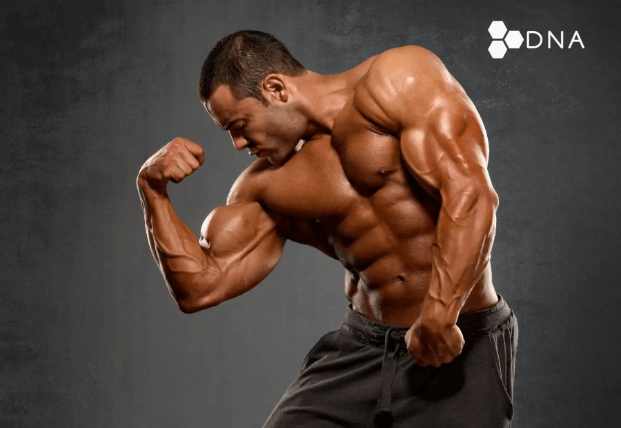 anabolic dna
