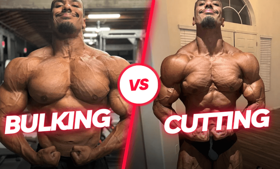 clean bulk vs cut